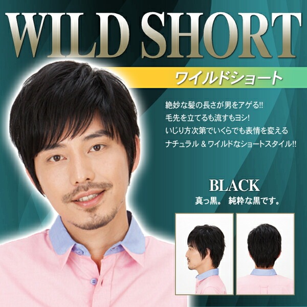 【メンズウィッグ】ワイルドショート（ブラック） [男性用 おしゃれ 変装 仮装 ウィッグ かつら] 【506277】