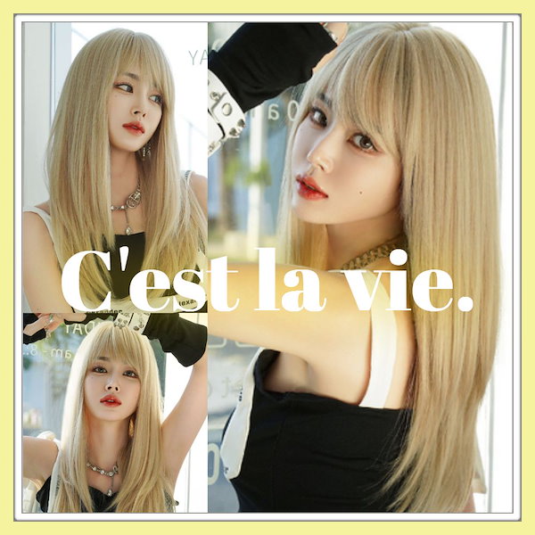 Qoo10] Cest la vie 翌日出荷 フル ウィッグ ロング シャギ