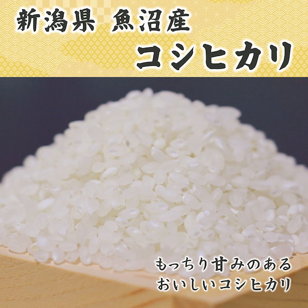 Qoo10] 【白米】 新米 令和5年産 魚沼産 コシ