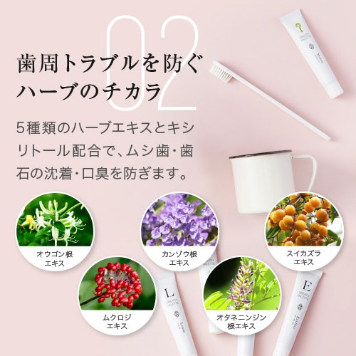 Qoo10] マーガレットジョセフィン 【公式】ブレスパレット [英語] 全32