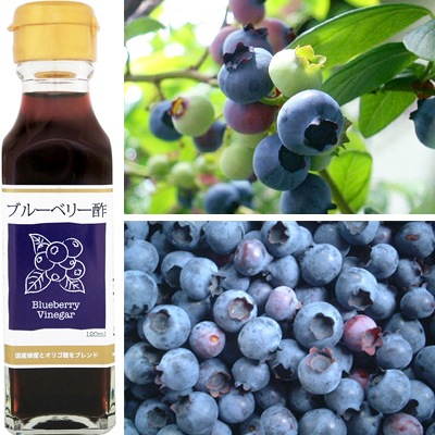 お酢 ドリンク 飲む ブルーベリー酢 120ml TAC21 12個セット お酢 ドリンク 飲む ブルーベリー酢 120ml TAC21 12個セット