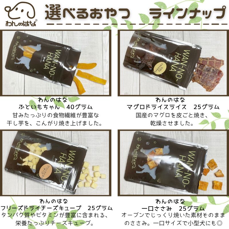 [1500円分のおまけ付！] キアオラ ドッグフード ラム&サーモン 9.5kg プレミアムフード