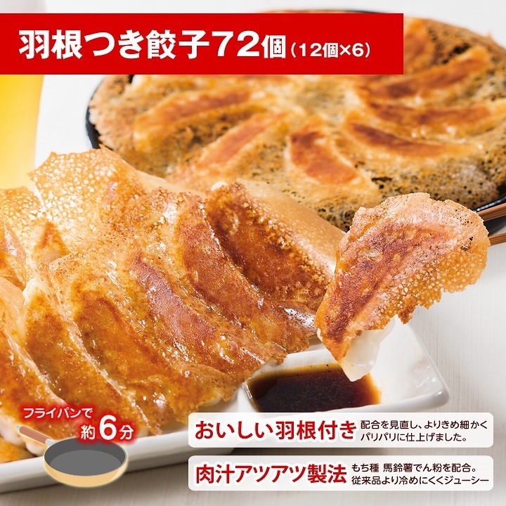 大阪王将鉄板中華セット(羽根付き餃子たっぷり72個直火炒めチャーハン10袋)餃子パーティー 福袋 大阪王将鉄板中華セット(羽根付き餃子たっぷり72個直火炒めチャーハン10袋)餃子パーティー 福袋