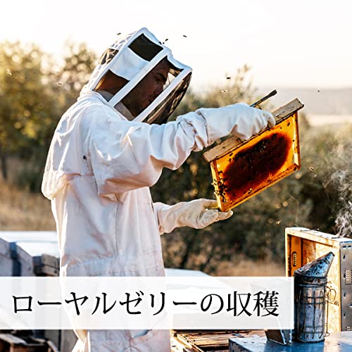 自然健康社 生ローヤルゼリー 1kg 業務用 サプリ 中国産 冷凍