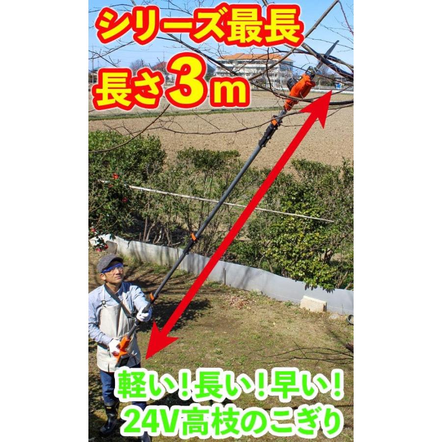 電動 のこぎり コードレス 高枝 園芸 DIY 24V 3m LSC21P-JP YARD FORCE 電動 のこぎり コードレス 高枝 園芸 DIY 24V 3m LSC21P-JP YARD FORCE