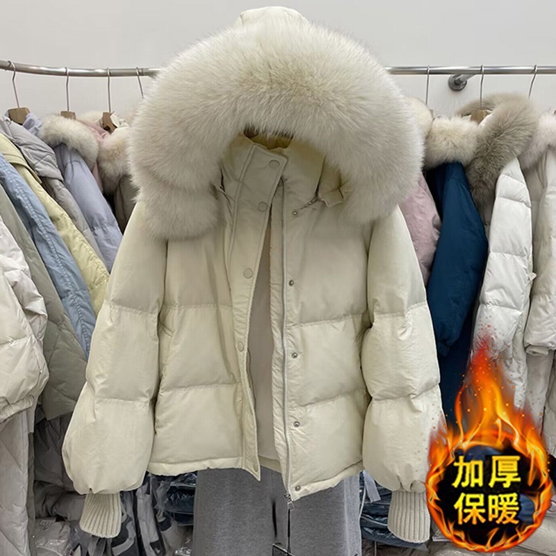 冬に流行するダウンコットンの服 高級感のある素敵すぎるダウンジャケット