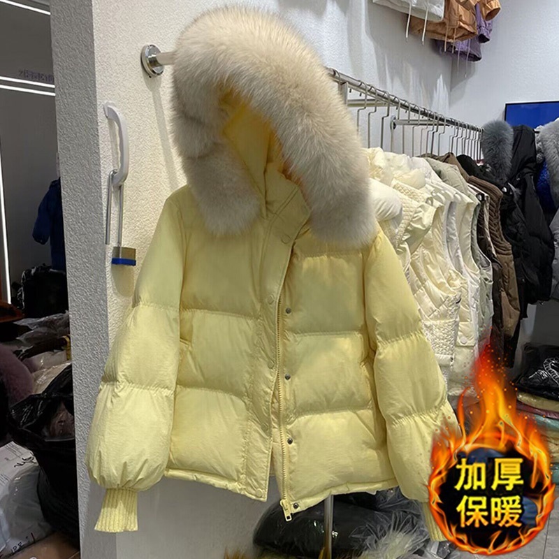 冬に流行するダウンコットンの服 高級感のある素敵すぎるダウンジャケット