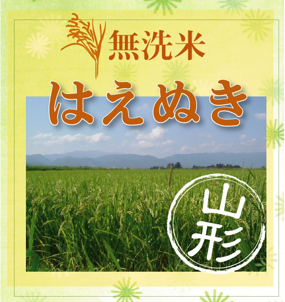 令和6年産 無洗米 山形県産はえぬき 10kg (5kgx2袋)
