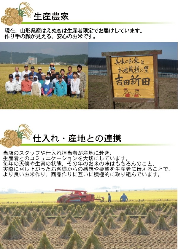 令和6年産 無洗米 山形県産はえぬき 10kg (5kgx2袋)