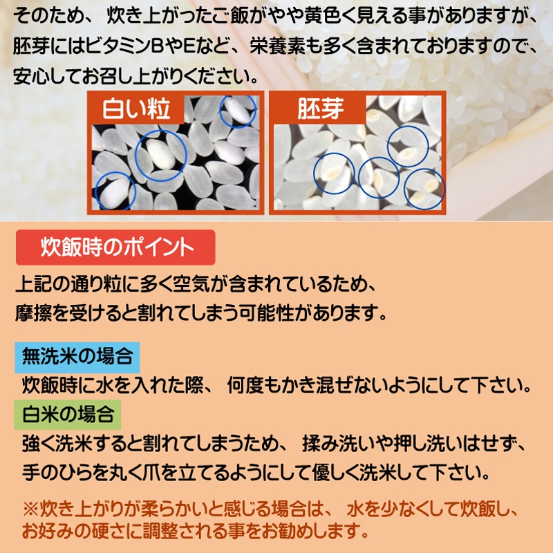 令和6年産 無洗米 山形県産はえぬき 10kg (5kgx2袋)