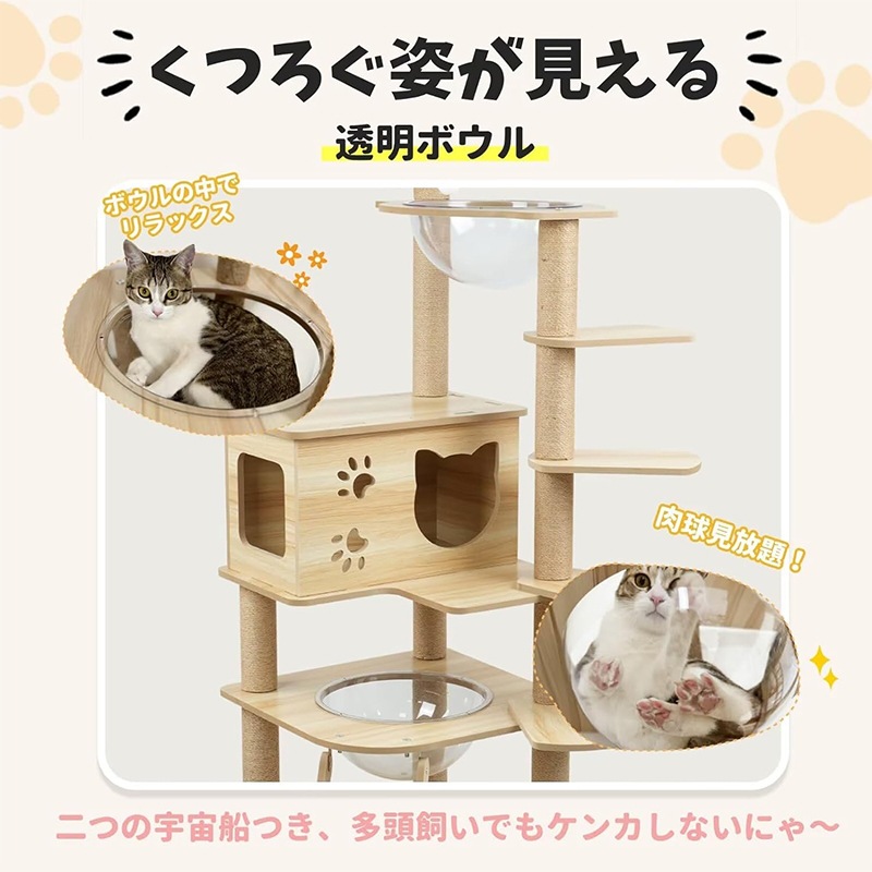 キャットタワー 木製 短足猫 子猫向け シニア猫 猫タワー 透明