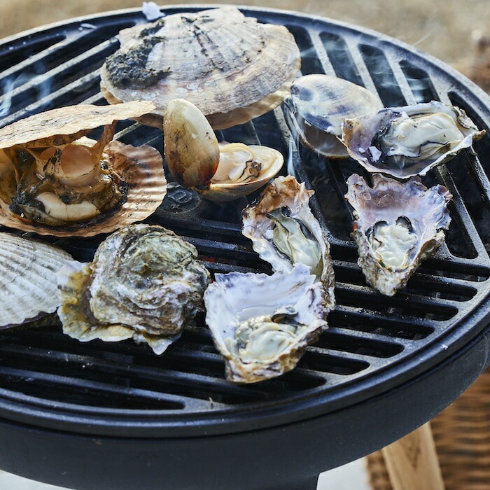 バーベキューコンロ プロップグリル a+design おしゃれ BBQ スチール 焚き火台 アウトドア用品 レジャー お庭キャンプ エープラス バーベキューコンロ プロップグリル a+design おしゃれ BBQ スチール 焚き火台 アウトドア用品 レジャー お庭キャンプ エープラス