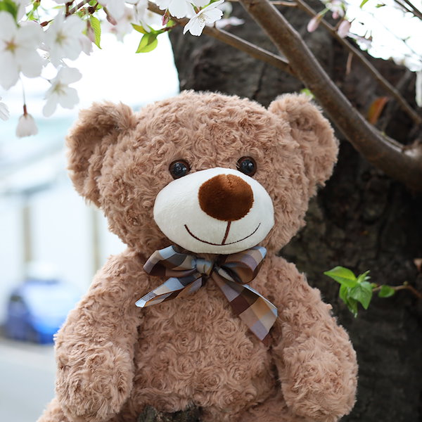 Qoo10] クリスマスプレゼント 子供 ぬいぐるみ