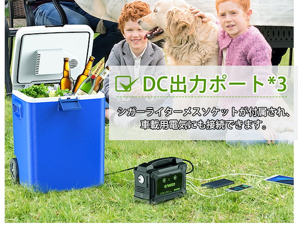 enkeeo ポータブル電源 大容量 S220 60000mAh/222Wh 家庭用蓄電池 急速充電QC3.0 Type-C搭載 ソーラー充電  キャンプ/夜釣り/車中泊/防災グッズ/停電時に