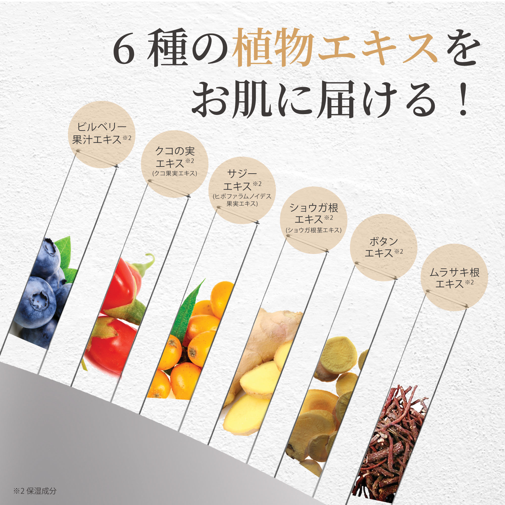 コンブチャクレンズ 720ml 3本 × マイプリセラム(美容液)10ml 2本セット コンブチャクレンズ 720ml 3本 × マイプリセラム(美容液)10ml 2本セット