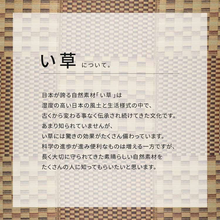 はっ水 い草ラグ キハチ 約180×180cm 撥水 抗カビ 折りたためる コンパクト 滑り止め付き 北海道追加送料 沖縄離島はお届け不可 メーカーより直送