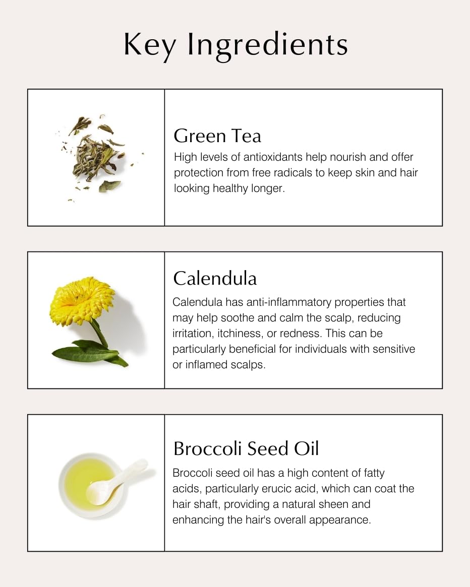 ジョンマスターオーガニック(john masters organics) G&Cリーブインコンディショニングミスト N トリートメント 125ミリリットル (x 1) ジョンマスターオーガニック(john masters organics) G&Cリーブインコンディショニングミスト N トリートメント 125ミリリットル (x 1)