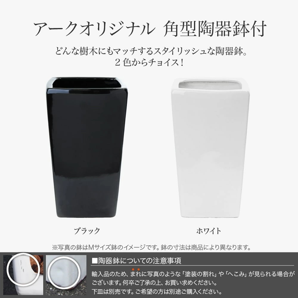 フェイクグリーン クワズイモ カーブ 130cm 鉢植 陶器鉢 CT触媒