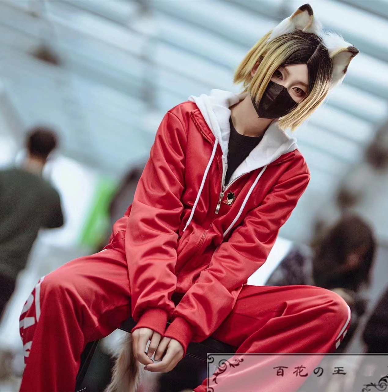 在庫品 ハイキュー!! 音駒高校 ジャージー 孤爪研磨 黒尾鉄朗 コスプレ衣装 コスチューム ハロウィン 変装 仮装 在庫品 ハイキュー!! 音駒高校 ジャージー 孤爪研磨 黒尾鉄朗 コスプレ衣装 コスチューム ハロウィン 変装 仮装