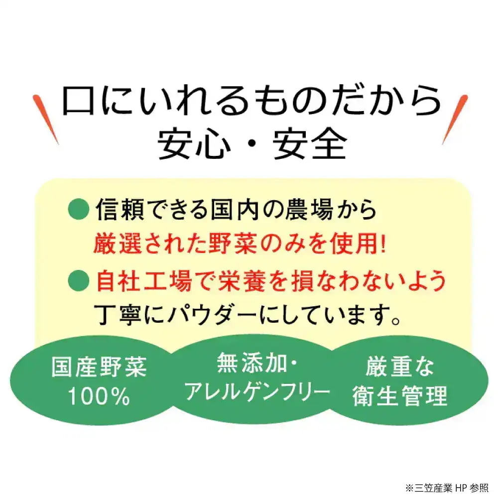 れんこんファインパウダー 無添加 100gx5 三笠産業 「 野菜パウダー 」 加熱不要 そのまま使える アレルゲンフリー レンコン 微粒子粉末 国産野菜 モチモチ食感