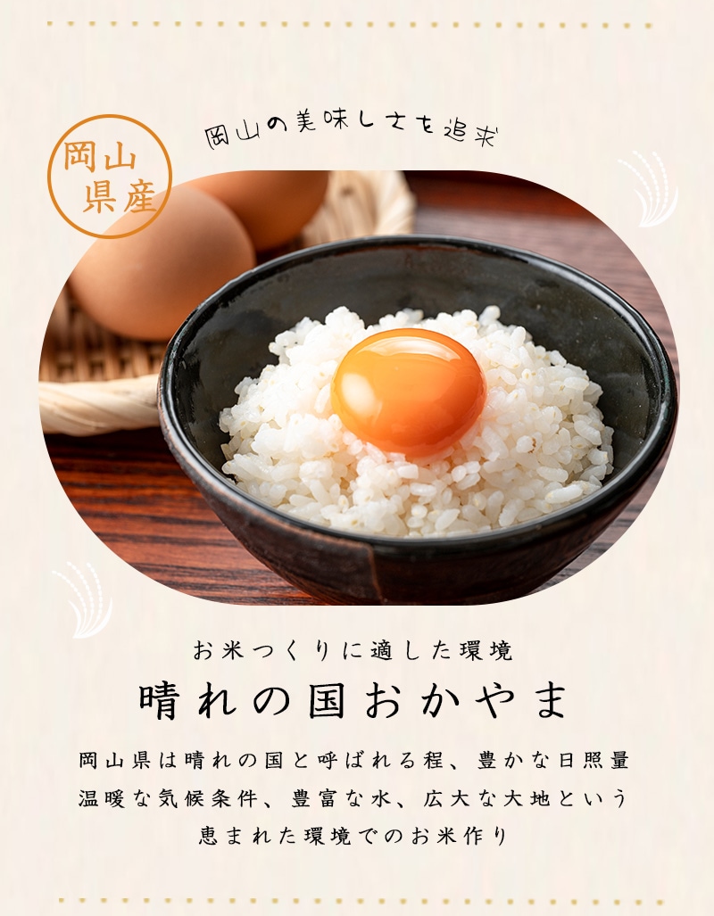 Qoo10] 【令和8年産 新米】岡山県産 きぬむすめ