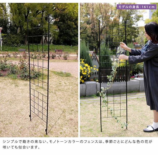 ガーデンフェンス アイアンフェンス DIY 挿し込み式 スリム ハイタイプ 幅42 高さ176cm 4枚 グラフ グリーンカーテン ガーデンフェンス アイアンフェンス DIY 挿し込み式 スリム ハイタイプ 幅42 高さ176cm 4枚 グラフ グリーンカーテン