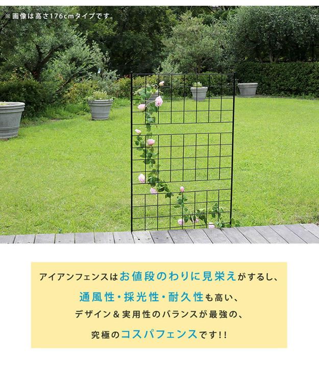 ガーデンフェンス アイアンフェンス DIY 挿し込み式 スリム ハイタイプ 幅42 高さ176cm 4枚 グラフ グリーンカーテン ガーデンフェンス アイアンフェンス DIY 挿し込み式 スリム ハイタイプ 幅42 高さ176cm 4枚 グラフ グリーンカーテン