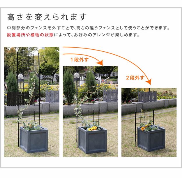 ガーデンフェンス アイアンフェンス DIY 挿し込み式 スリム ハイタイプ 幅42 高さ176cm 4枚 グラフ グリーンカーテン ガーデンフェンス アイアンフェンス DIY 挿し込み式 スリム ハイタイプ 幅42 高さ176cm 4枚 グラフ グリーンカーテン
