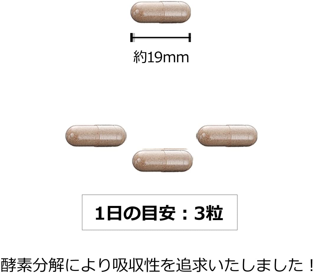 ユーグレナ バイオザイム 10個セット : 健康食品・サプリ 100粒入 ユーグレナ - www.blaskogabyggd.is