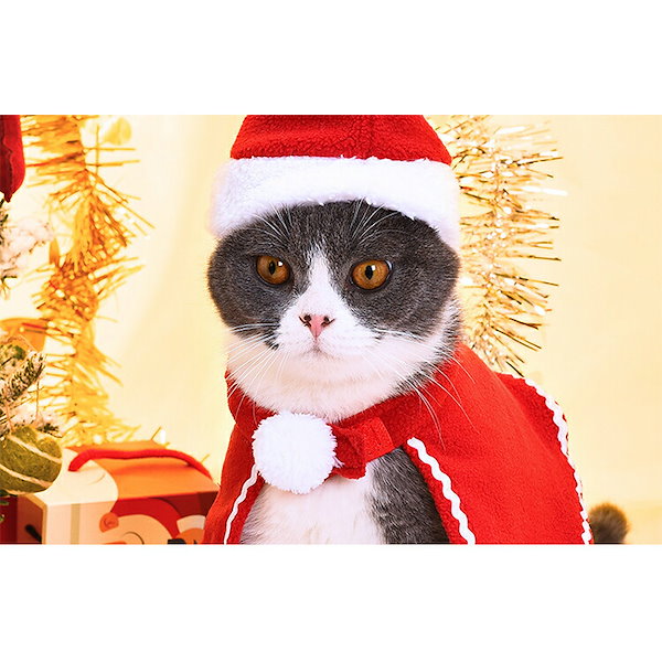 Qoo10] クリスマス 衣装 犬 猫 服 ペット服
