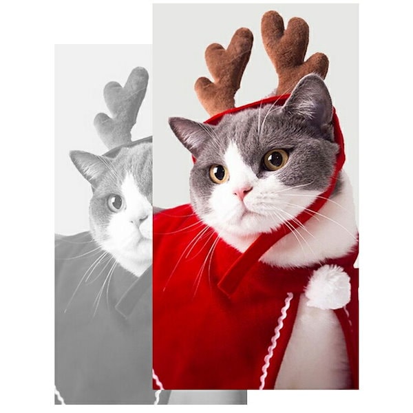 Qoo10] クリスマス 衣装 犬 猫 服 ペット服