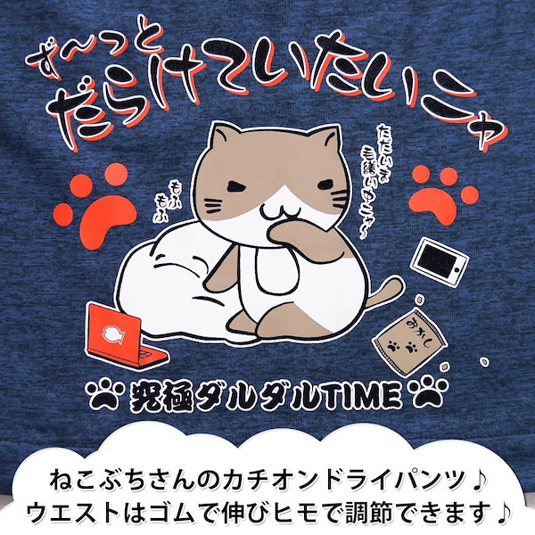 Qoo10] ねこぶちさん 猫渕さん ドライ ハーフ