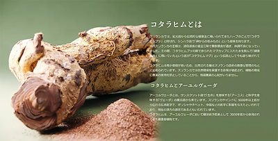 コタラヒム310α コタラヒム310α | 株式会社ユニティー