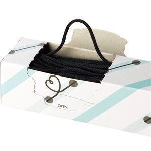 （まとめ） TANOSEE つづりひも 450mm うるし先 PP糸16本織+スフ糸16本織 1パック（100本） 15セット