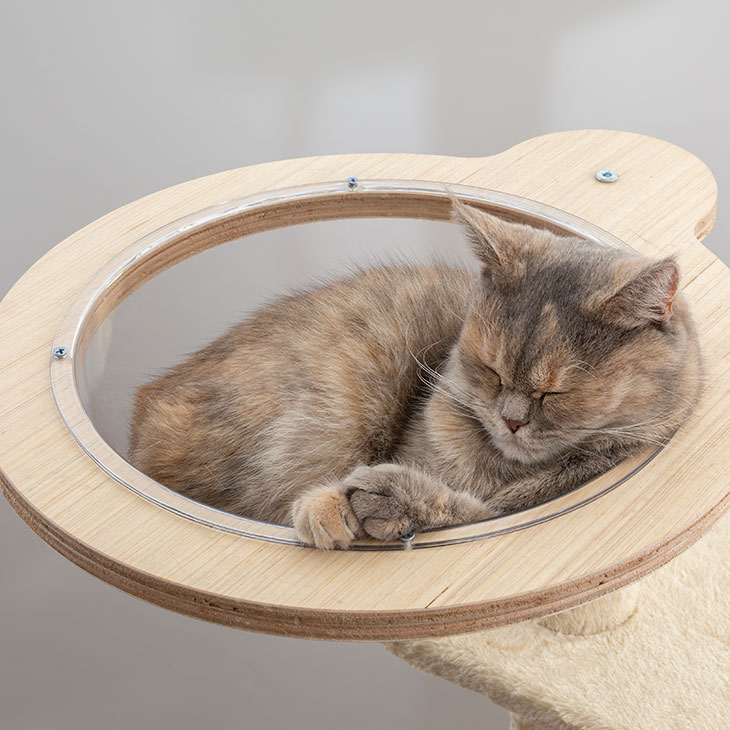 NEW キャットタワー 据え置き 肉球クリアベッド付き 猫タワー 猫 遊び場 タワー 爪とぎ 隠れ家 階段 ハンモック 高さ150cm 猫グッズおまけ付き 欠品｜大型猫 キャットタワー 据え置き 運動不足 ベッド