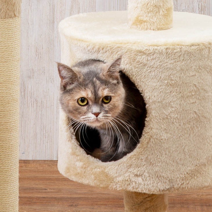 NEW キャットタワー 据え置き 肉球クリアベッド付き 猫タワー 猫 遊び場 タワー 爪とぎ 隠れ家 階段 ハンモック 高さ150cm 猫グッズおまけ付き 欠品｜大型猫 キャットタワー 据え置き 運動不足 ベッド