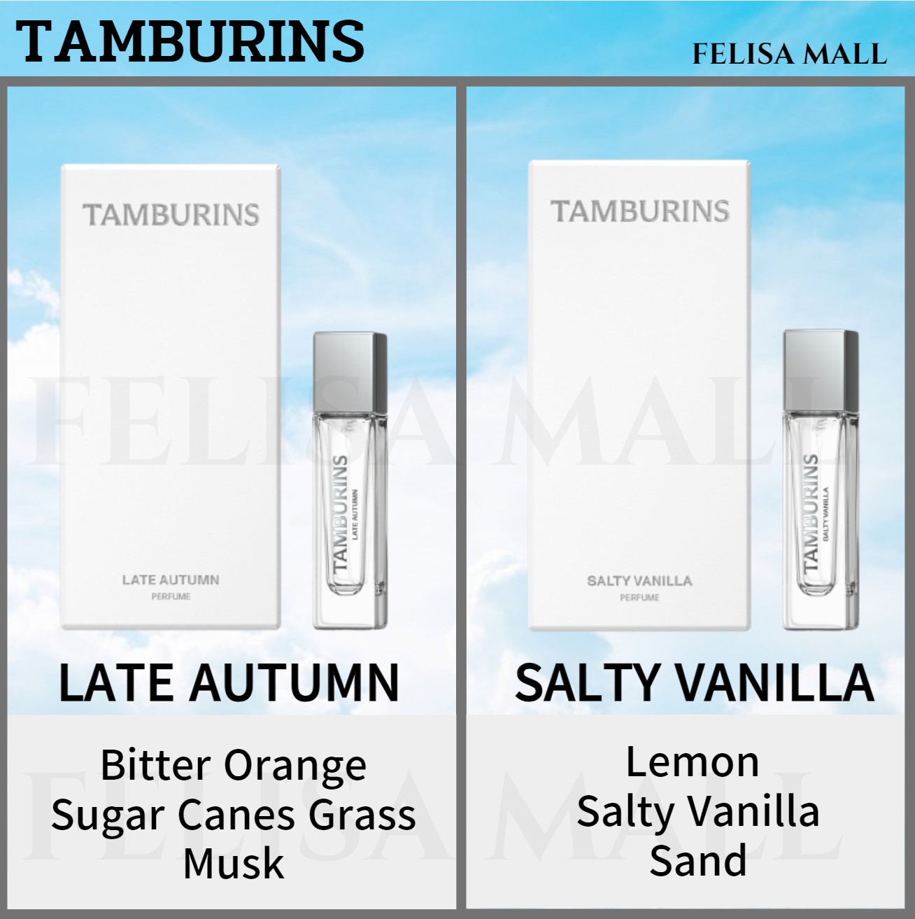 [tamburins] 【香水】 EGG PUMKINI /CHAMO 11ML シトラスライン 韓国 プレゼント用　THE DAY OF SORCERESS PERFUME