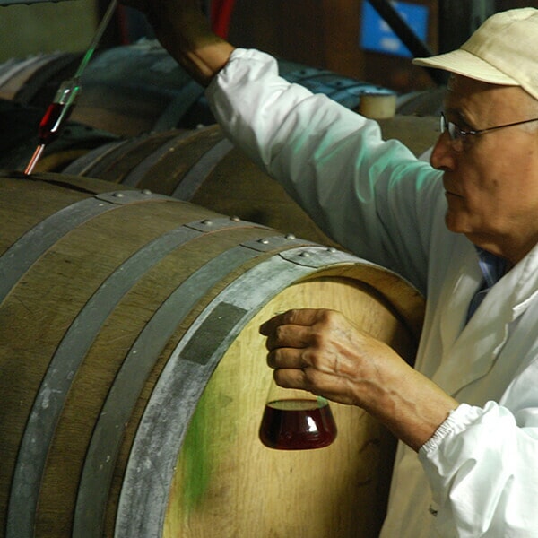 ビネガー お酢 オーガニック メンガツォーリ 赤ワインビネガー 250ml 10本セット