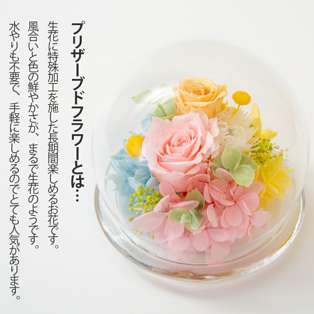 プリザーブドフラワー 誕生日 プレゼント【アマビリテ スイーツセット】ガラスドーム 敬老の日 プレゼント 誕生日 花 プレゼント 退職祝い 結婚祝い 結婚記念日 開店祝い 記念日 卒業祝い 贈り物 ギ