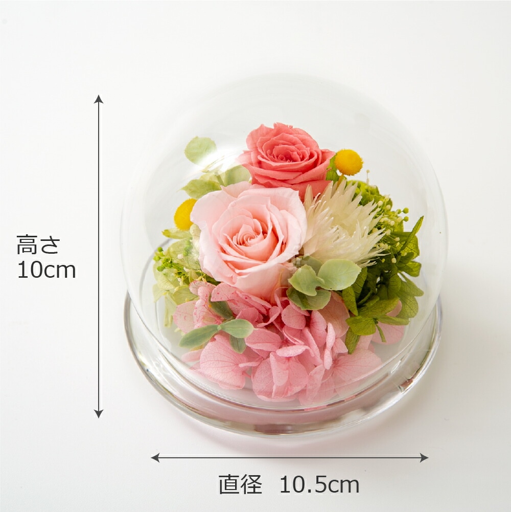 プリザーブドフラワー 誕生日 プレゼント【アマビリテ スイーツセット】ガラスドーム 敬老の日 プレゼント 誕生日 花 プレゼント 退職祝い 結婚祝い 結婚記念日 開店祝い 記念日 卒業祝い 贈り物 ギ