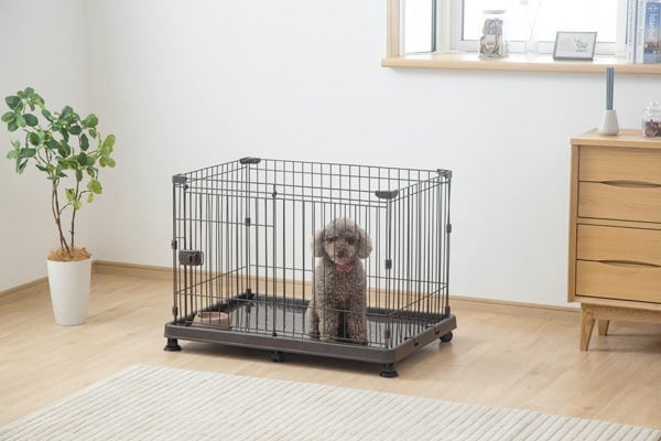 アイリスオーヤマ システムサークルトレー付き STS-600T マットブラウン/マットホワイト アイリスオーヤマ システムサークルトレー付き STS-600T マットブラウン/マットホワイト