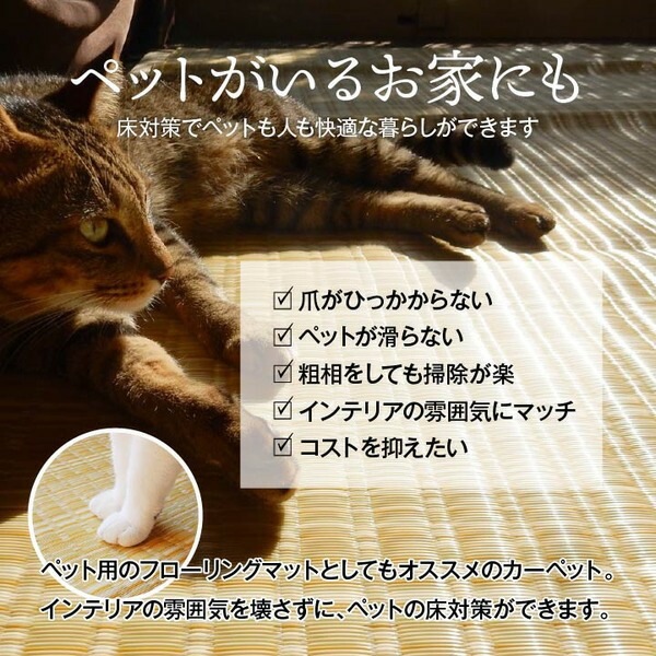 洗える PPカーペット アウトドア ペット ブラウン 本間10畳(約477x382cm) 洗える PPカーペット アウトドア ペット ブラウン 本間10畳(約477x382cm)