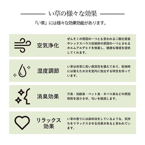 い草ラグ 花ござ 格子柄 抗菌防臭 消臭 江戸間2畳 ウッディブラウン
