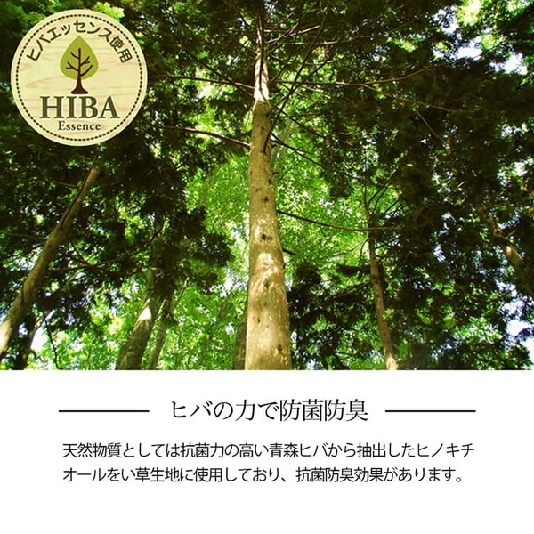 い草ラグ 花ござ 格子柄 抗菌防臭 消臭 江戸間2畳 ウッディブラウン