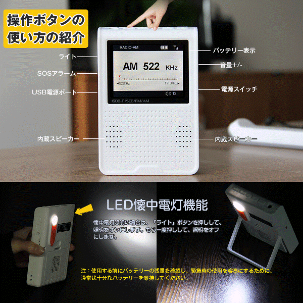 ポケットテレビ ポータブルGTVデバイス imgrc0126744424.jpg