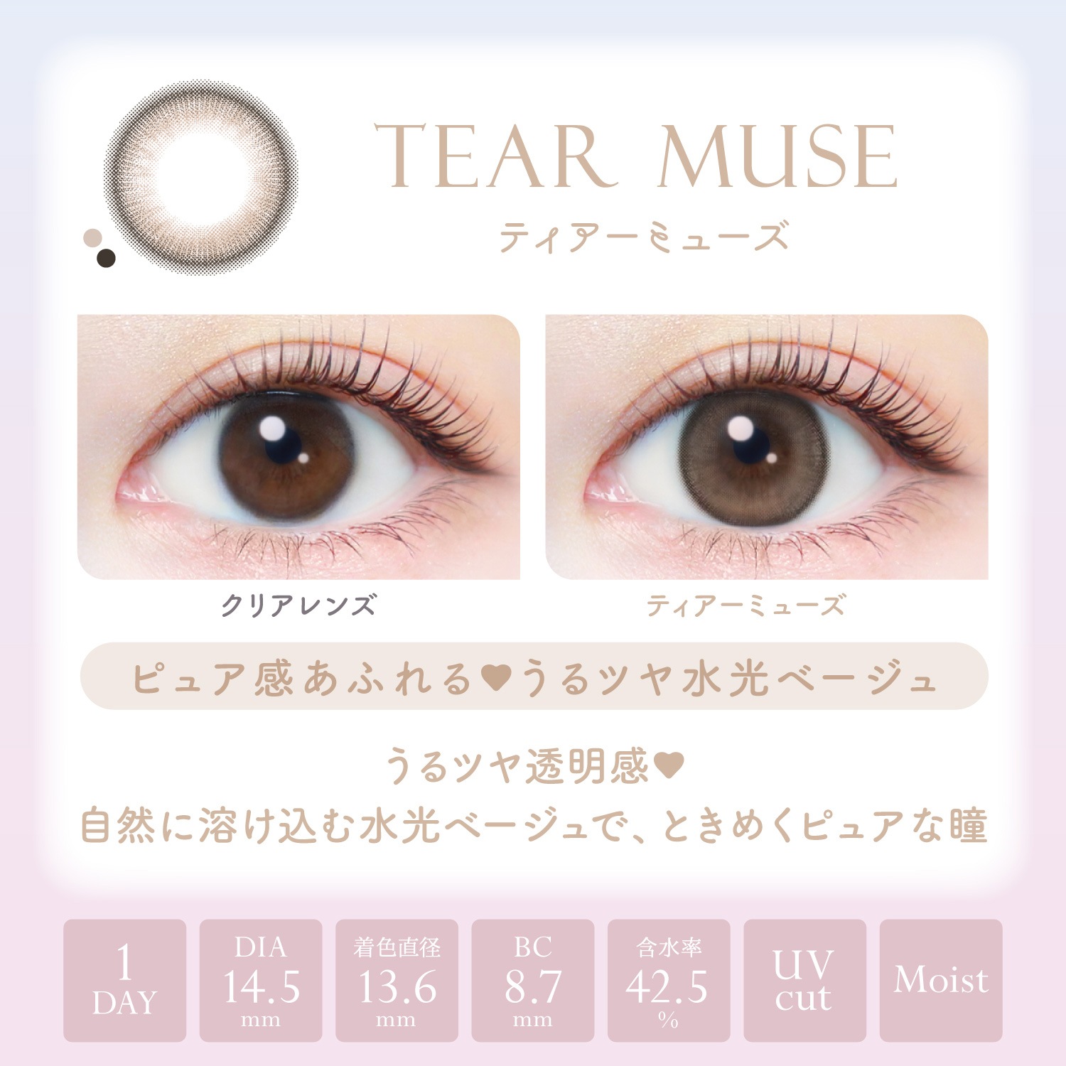 【2箱セット】カラコン ワンデー 1day 新木優子 20枚 14.5mm ワンデーカラコン カラーコンタクト カラーコンタクトレンズ 度あり 度なし