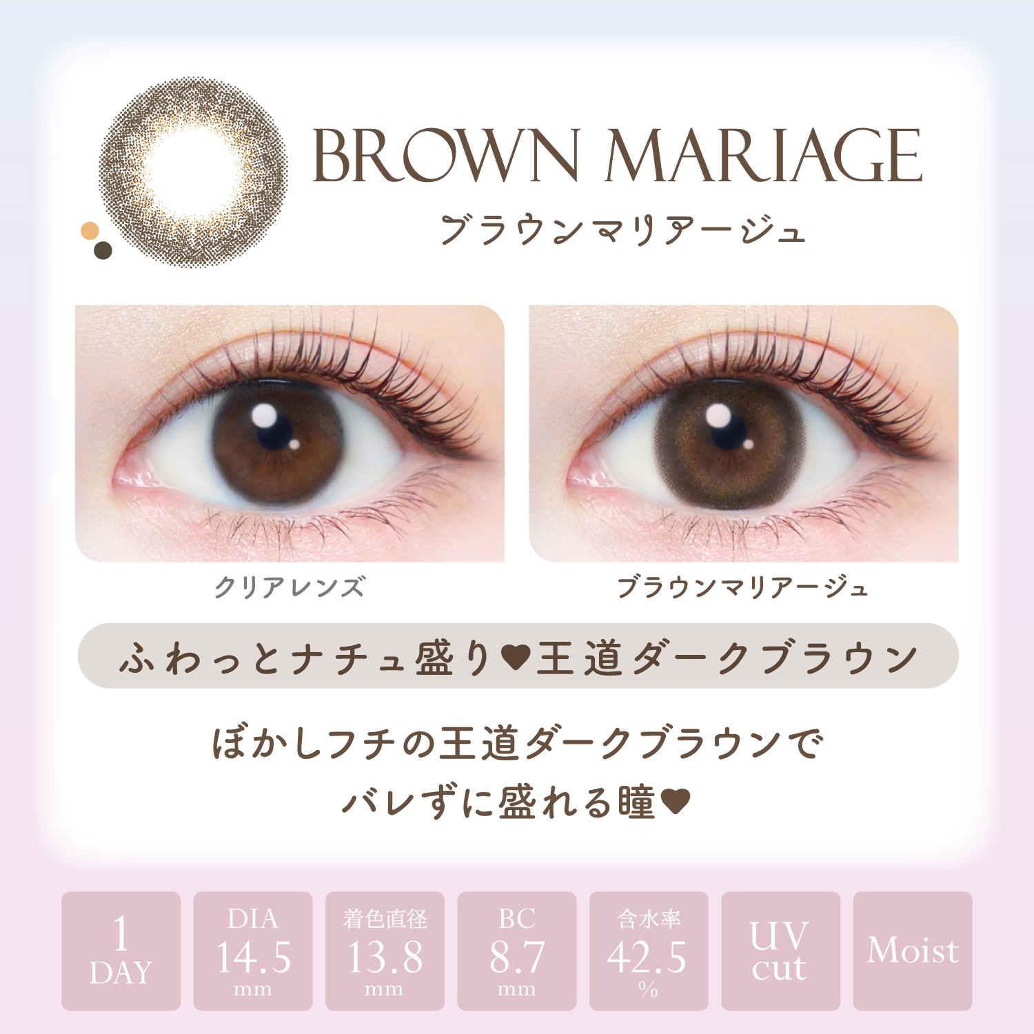 【2箱セット】カラコン ワンデー 1day 新木優子 20枚 14.5mm ワンデーカラコン カラーコンタクト カラーコンタクトレンズ 度あり 度なし