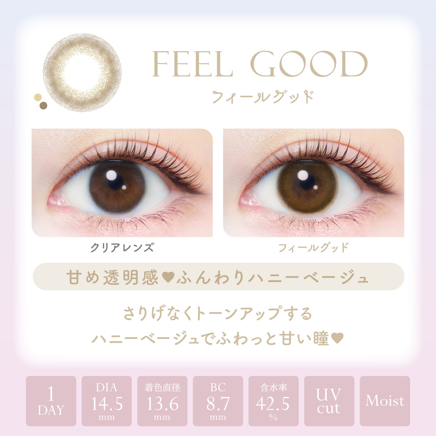 【2箱セット】カラコン ワンデー 1day 新木優子 20枚 14.5mm ワンデーカラコン カラーコンタクト カラーコンタクトレンズ 度あり 度なし