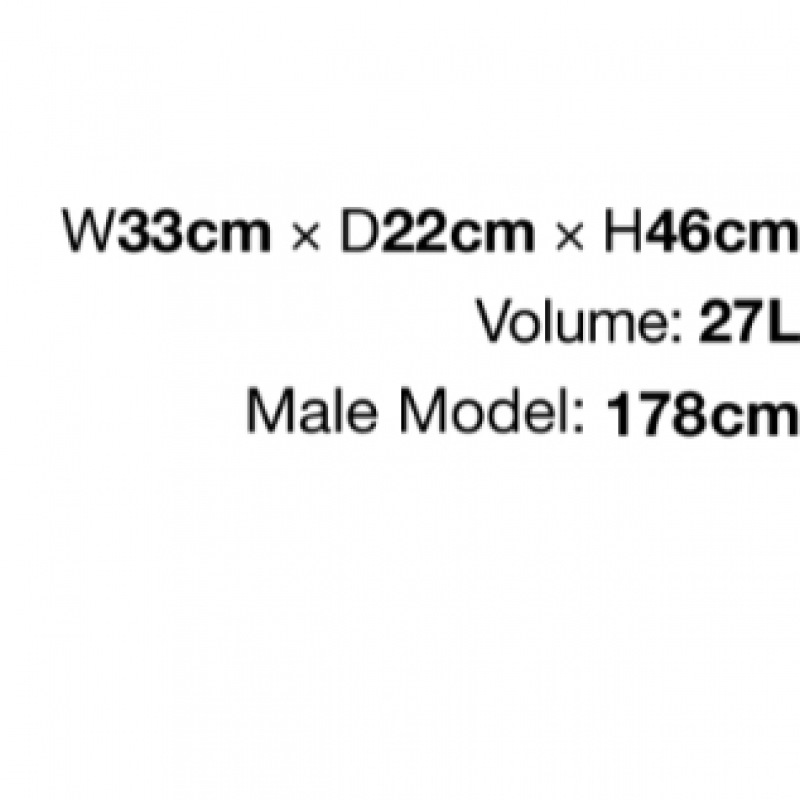 ディス・イズ・ネヴァー・ザット UL デイパックブルー