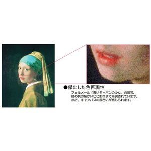 人気大得価 世界の名画シリーズプリハード複製画 ラフ : ホビー・コスプレ 大特価国産